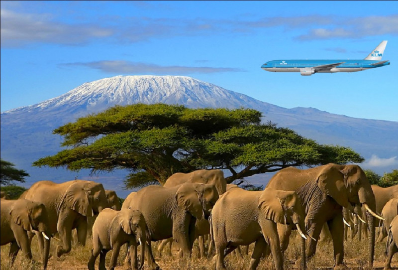 Ankomst till Kilimanjaro International Airport