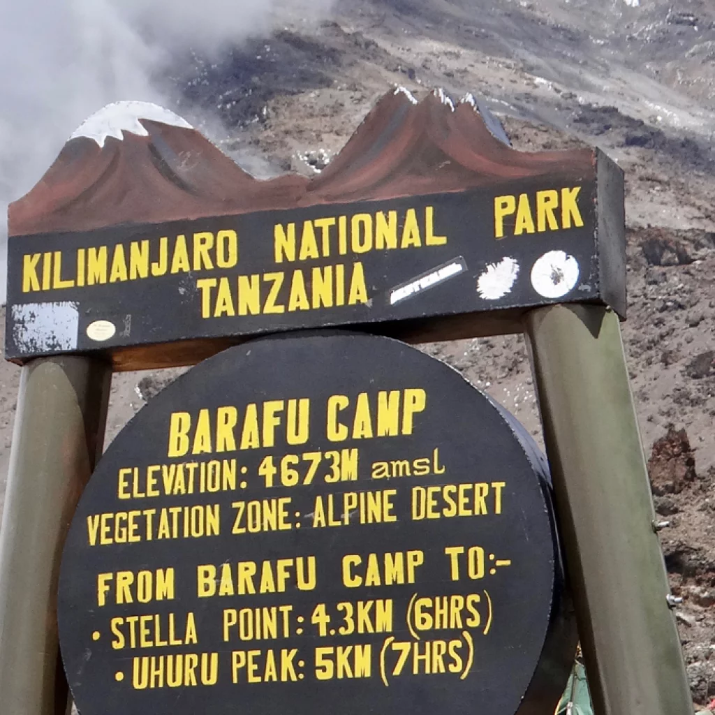 Machameleden (5/7) | Karanga Camp (4 040 m) – Barafu Camp (4 645 m)