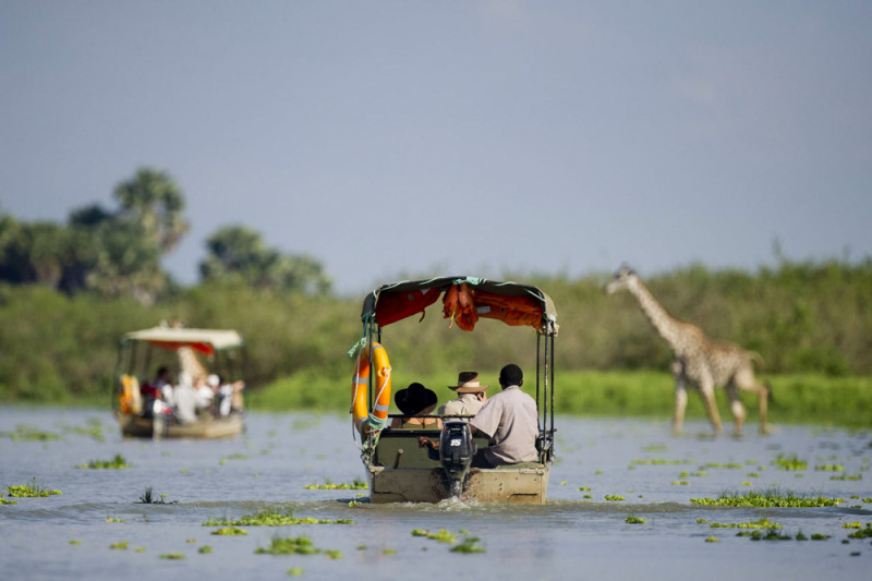 Heldags båtsafari i Nyerere nationalpark