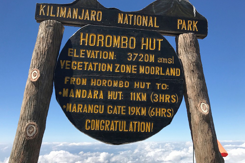 Maranguleden (2/6) | Mandara Huts (2,720 m) - Horombo Huts (3,720 m)