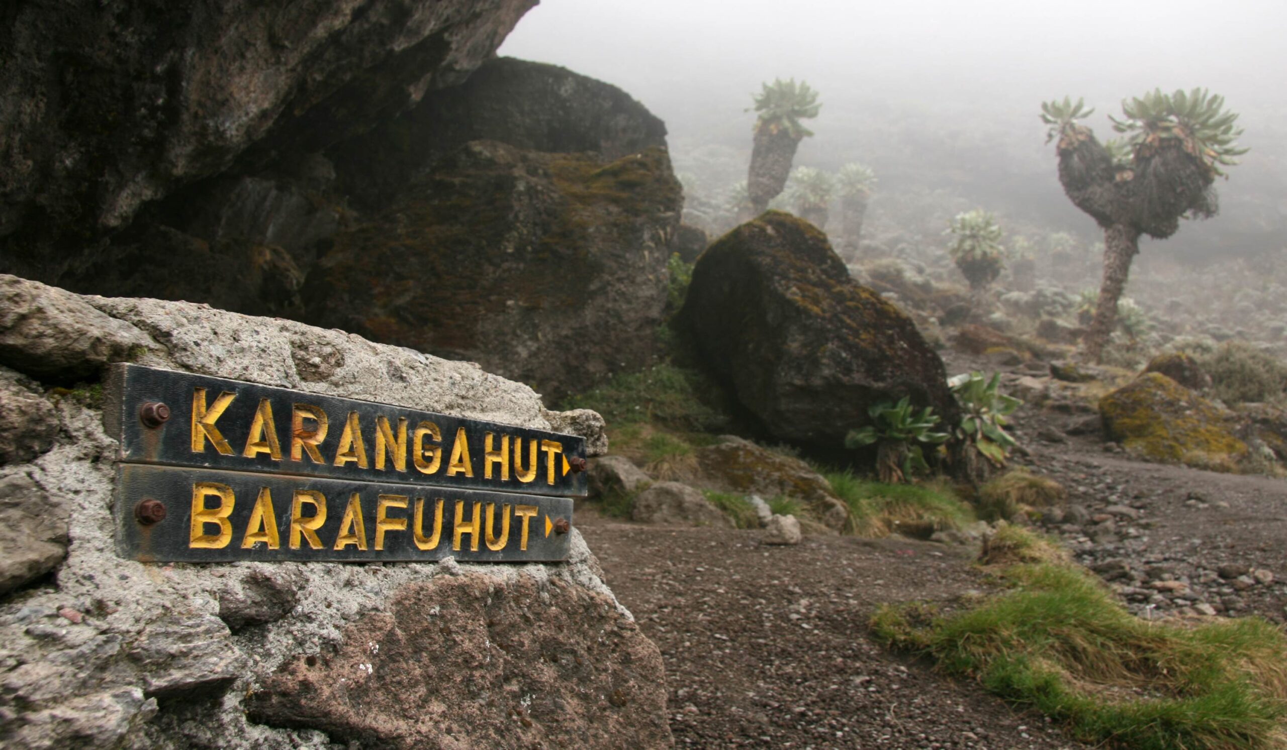 Lemosholeden (4/7) | Barranco Camp (3950 m) - Karanga Camp (4,040 m)