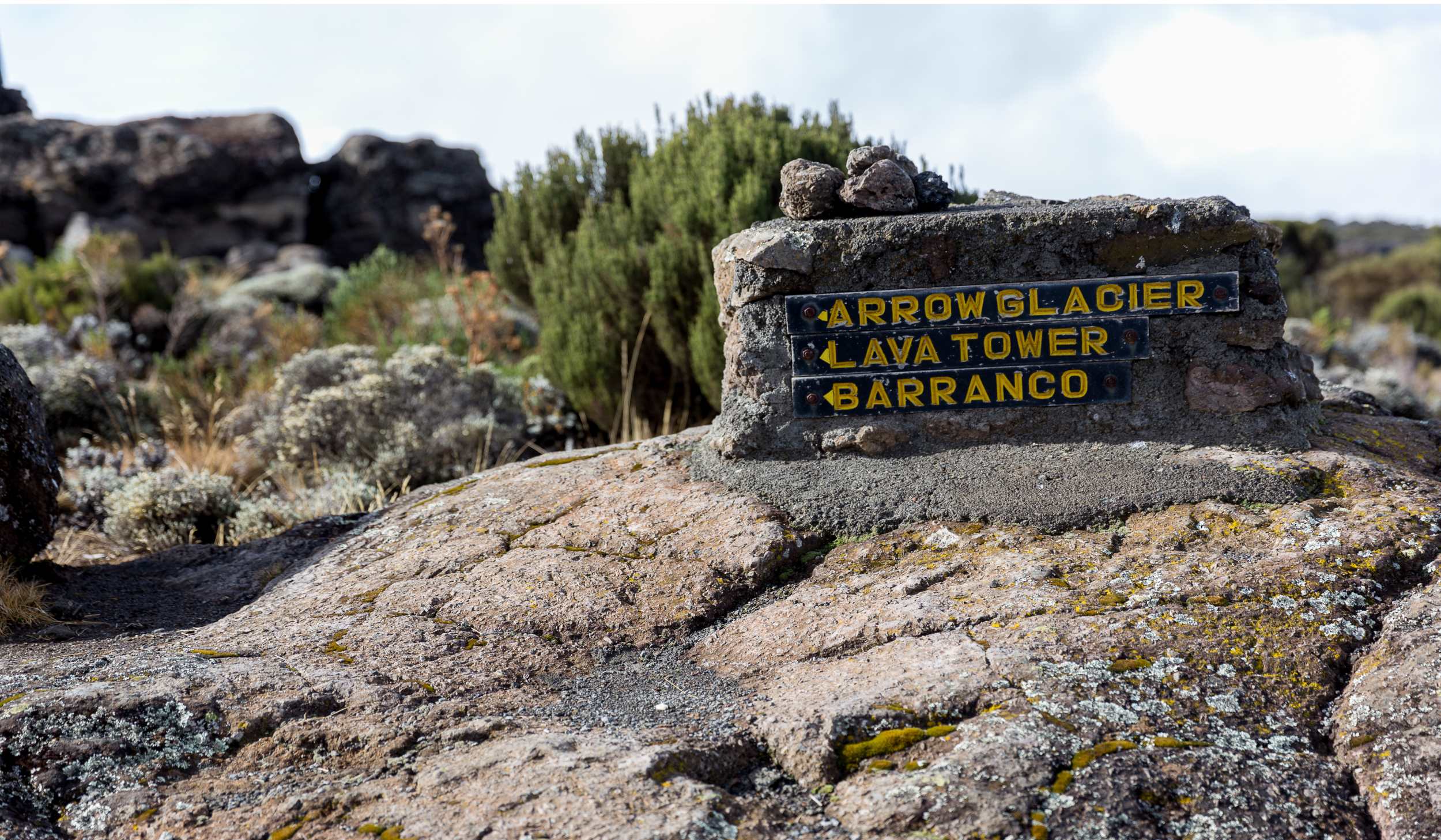 Machameleden (3/7) | Shira Camp (3 839 m) – Lava Tower (4 630 m) – Barranco Camp (3 950 m)