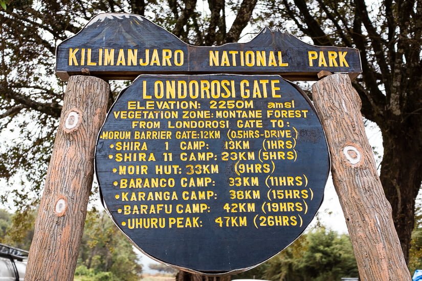 Lemosholeden (1/8) | Lemosho Gate (2 100 m) – Big Tree Camp (2 780 m)
