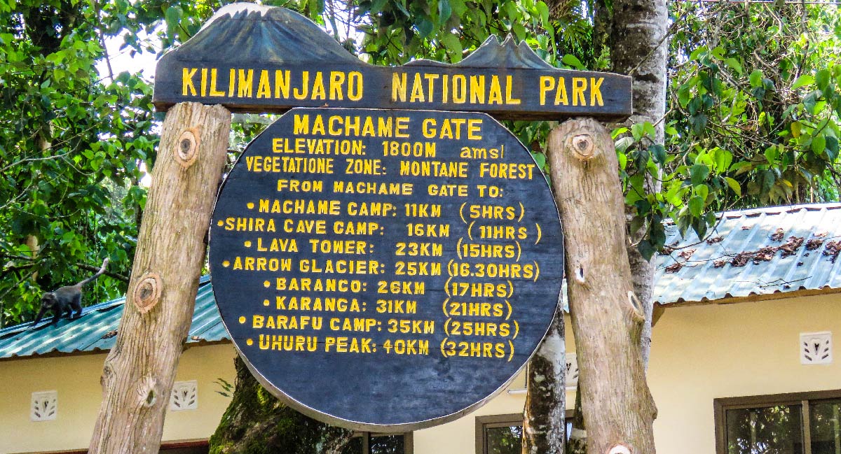 Machameleden (1/7) | Machame Gate (1 800 m) – Machame Camp (2 835 m)