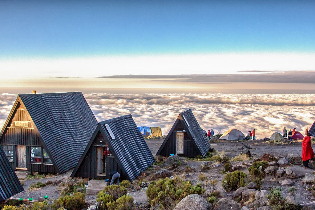 Maranguleden (2/5) | Mandara Huts (2,720 m) - Horombo Huts (3,720 m)
