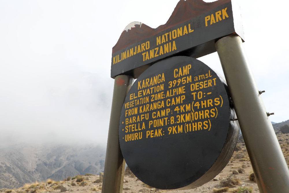 Machameleden (4/7) | Barranco Camp (3 950 m) – Karanga Camp (4 040 m)