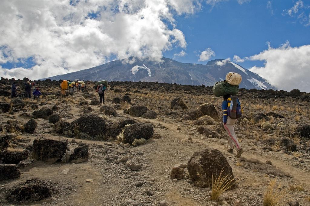 Machameleden (3/6) | Shira Camp (3 839 m) – Lava Tower (4 630 m) – Barranco Camp (3 950 m)