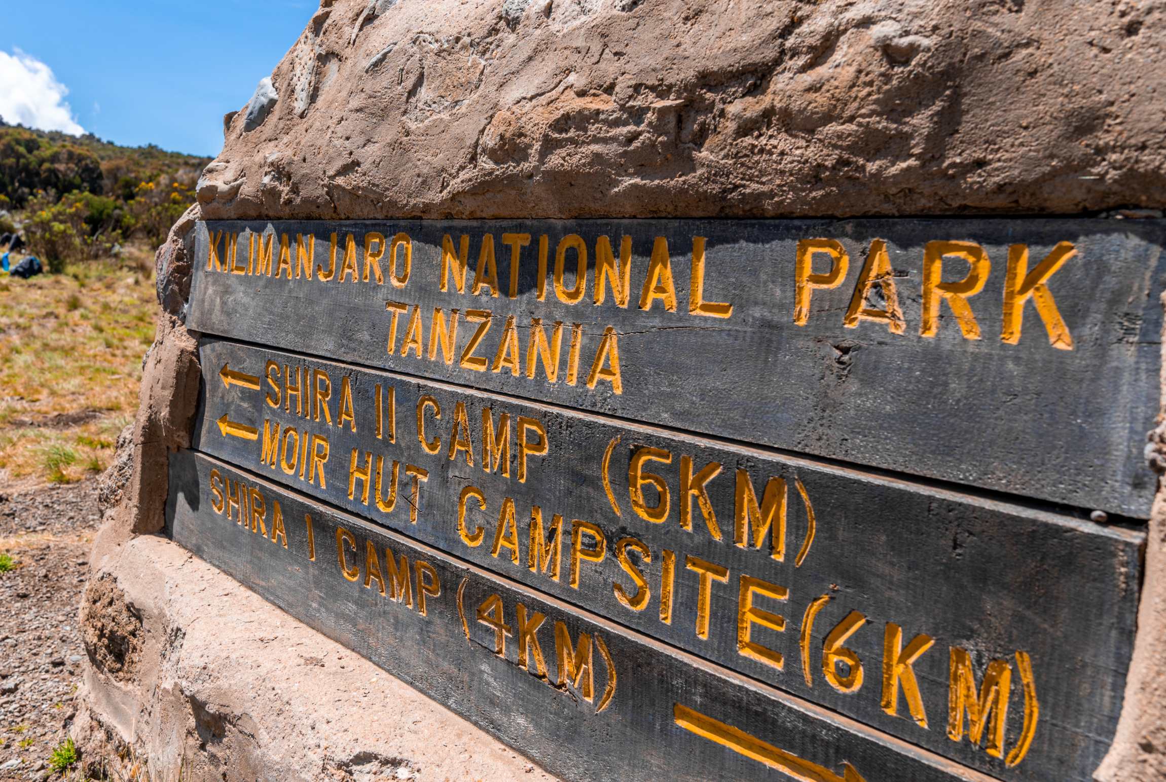 Norra rutten (2/8) | Big Tree Camp (2 780 m) – Shira 1 Camp (3 510 m)