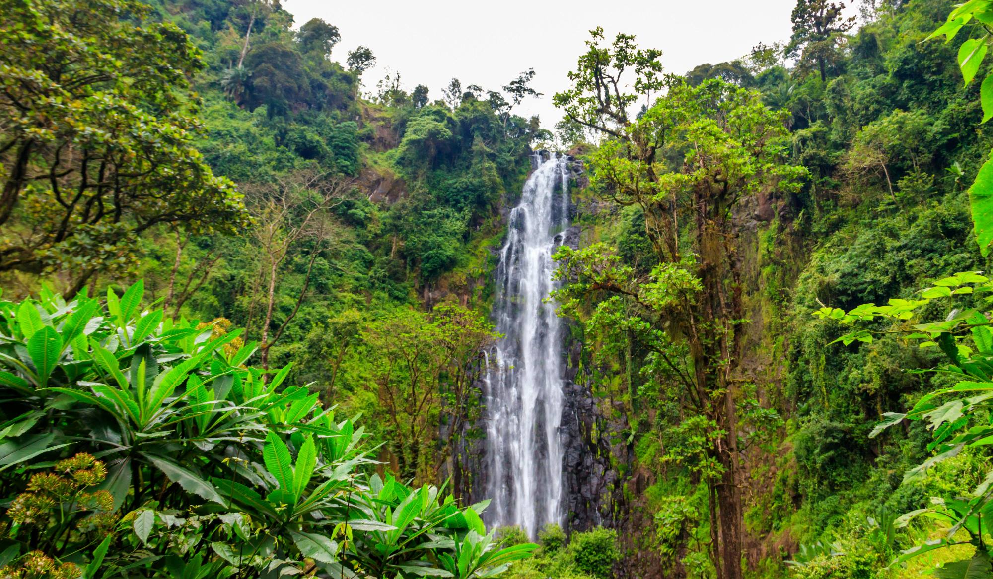 Vandring från Materuni village till Kuringe waterfall