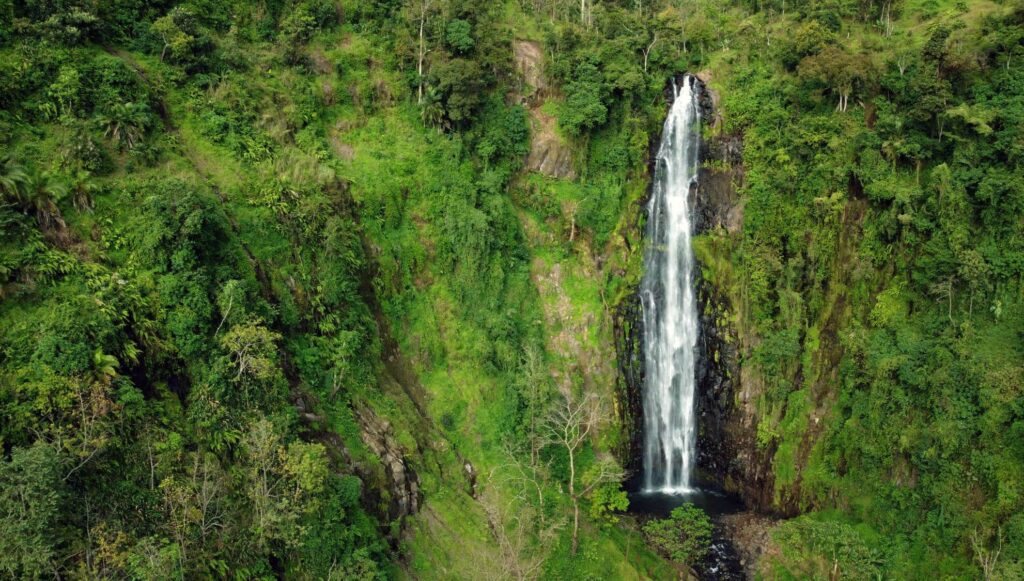 Ett vattenfall omgivet av grönska.