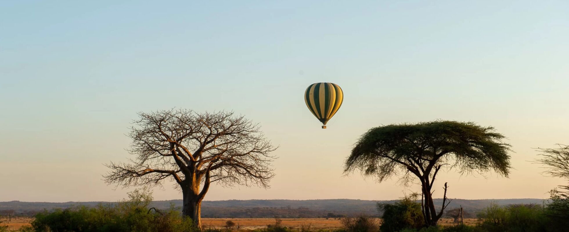 Luftballong i horisonten i Ruaha nationalpark, Tanzania