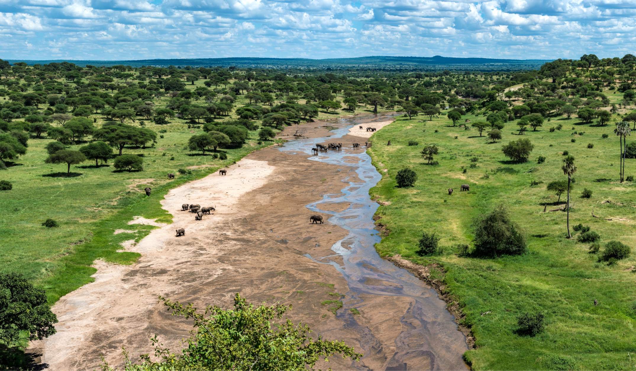 Tarangire Nationalpark i lyxig stil - via flygplan
