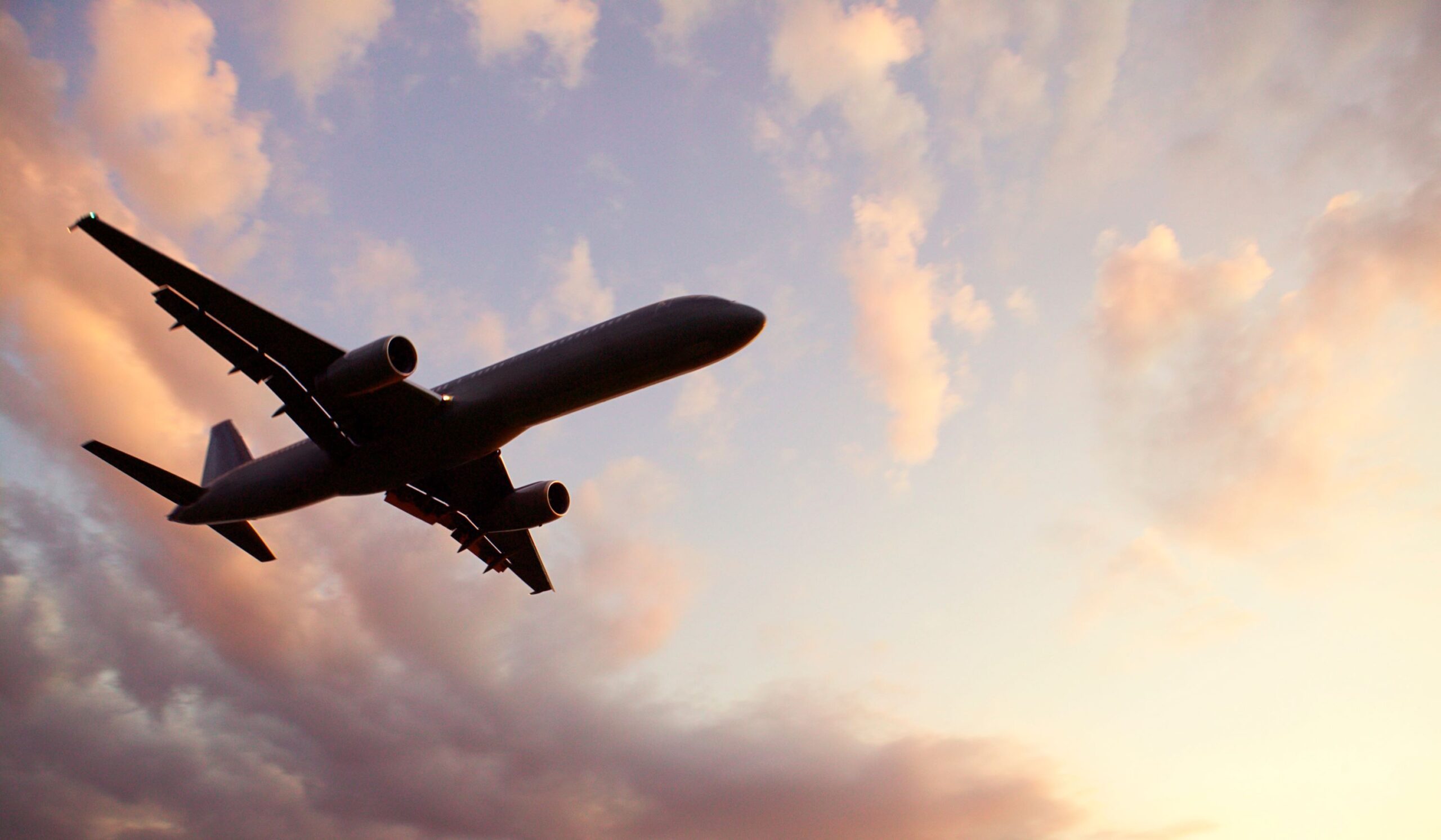 Flyg till Arusha (inkluderat) och transfer till Kilimanjaro International Airport (JRO) för din hemresa
