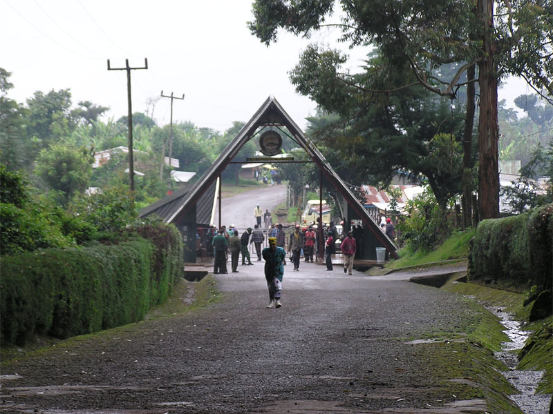 Rongaileden (6/6) | Horombo Huts (3,720 m) - Marangu Gate (1,860 m) - Hotell