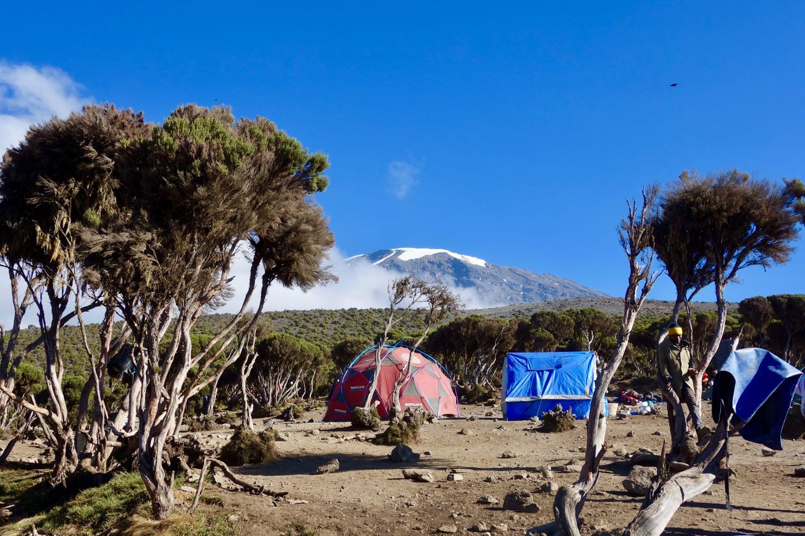 Norra rutten (7/8) | School Huts Camp (4 710 m) – Uhuru Peak (5 895 m) – Millenium Camp (3 820 m)