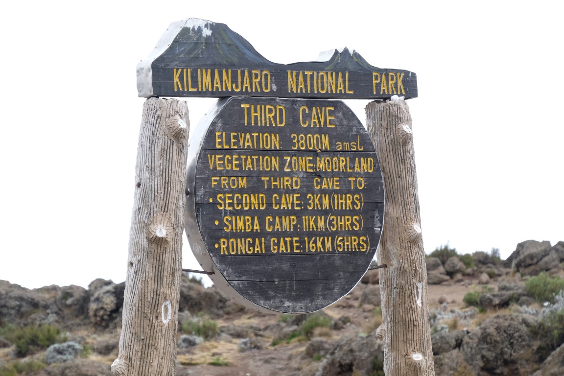 Norra rutten (5/8) | Buffalo Camp (3 995 m) – Third Cave Camp (3 930 m)
