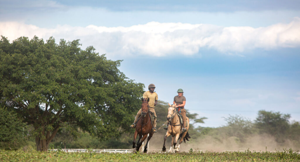 Ridtur i Arusha