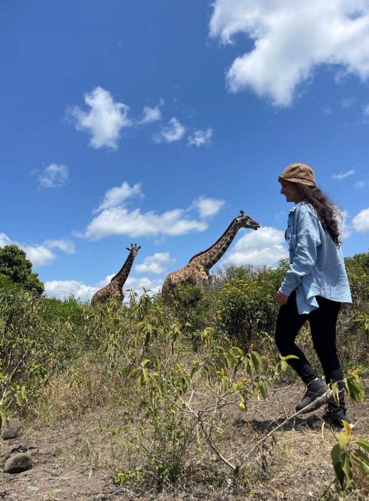 Person promenerar i busklandskapet med två giraffer i bakgrunden under en klarblå himmel.