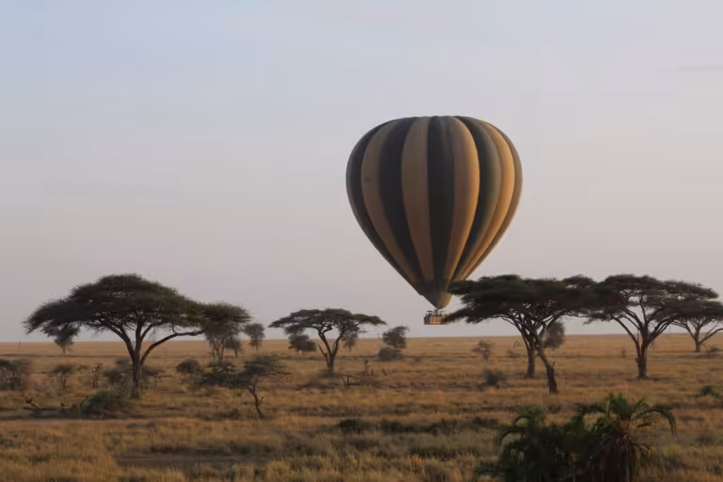 Luftballongssafari i Serengeti