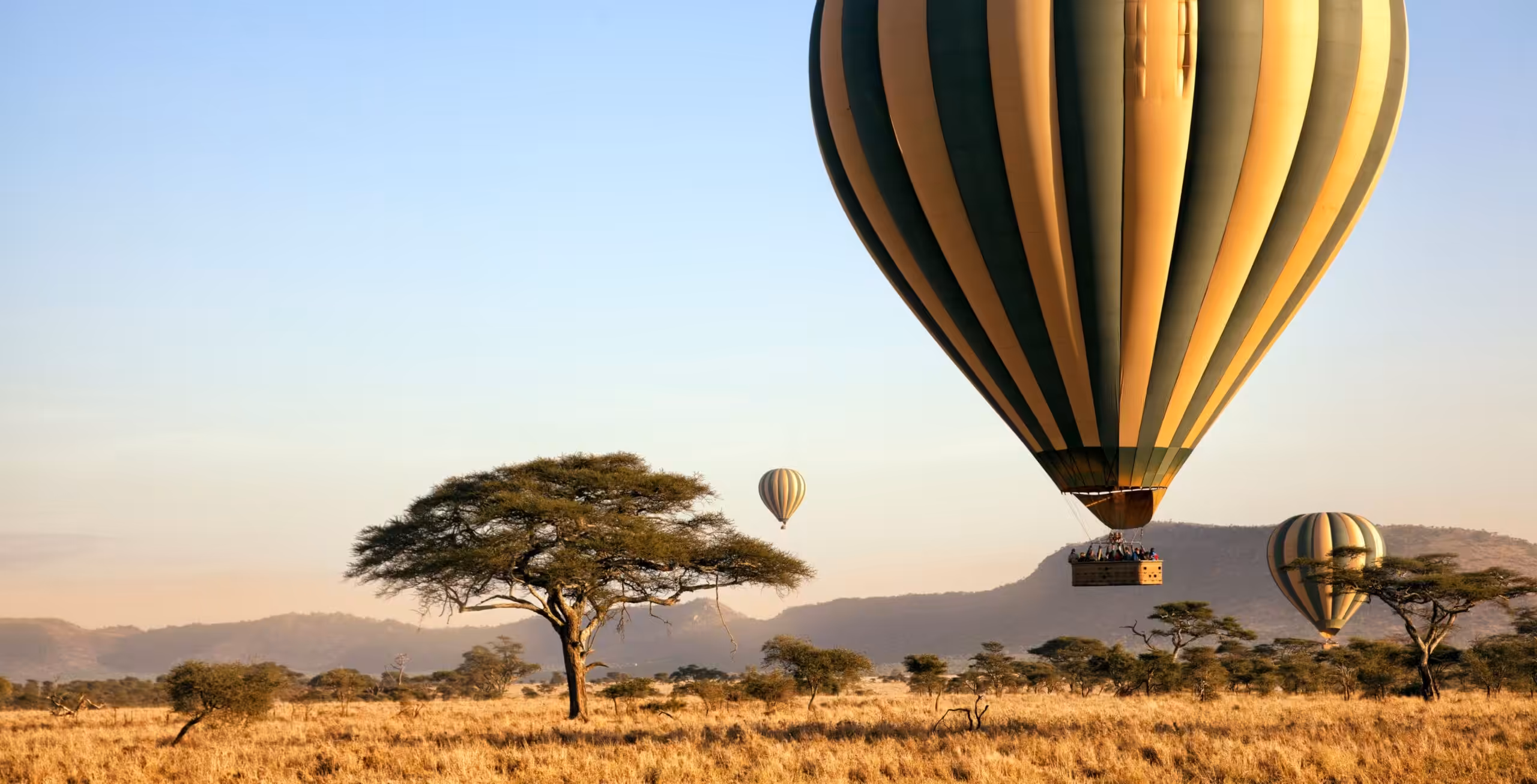 Serengeti Nationalpark (centrala väst/öst)