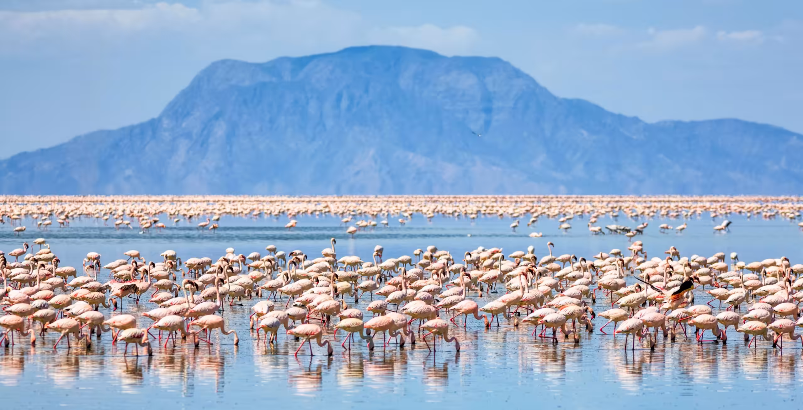 Lake Natron