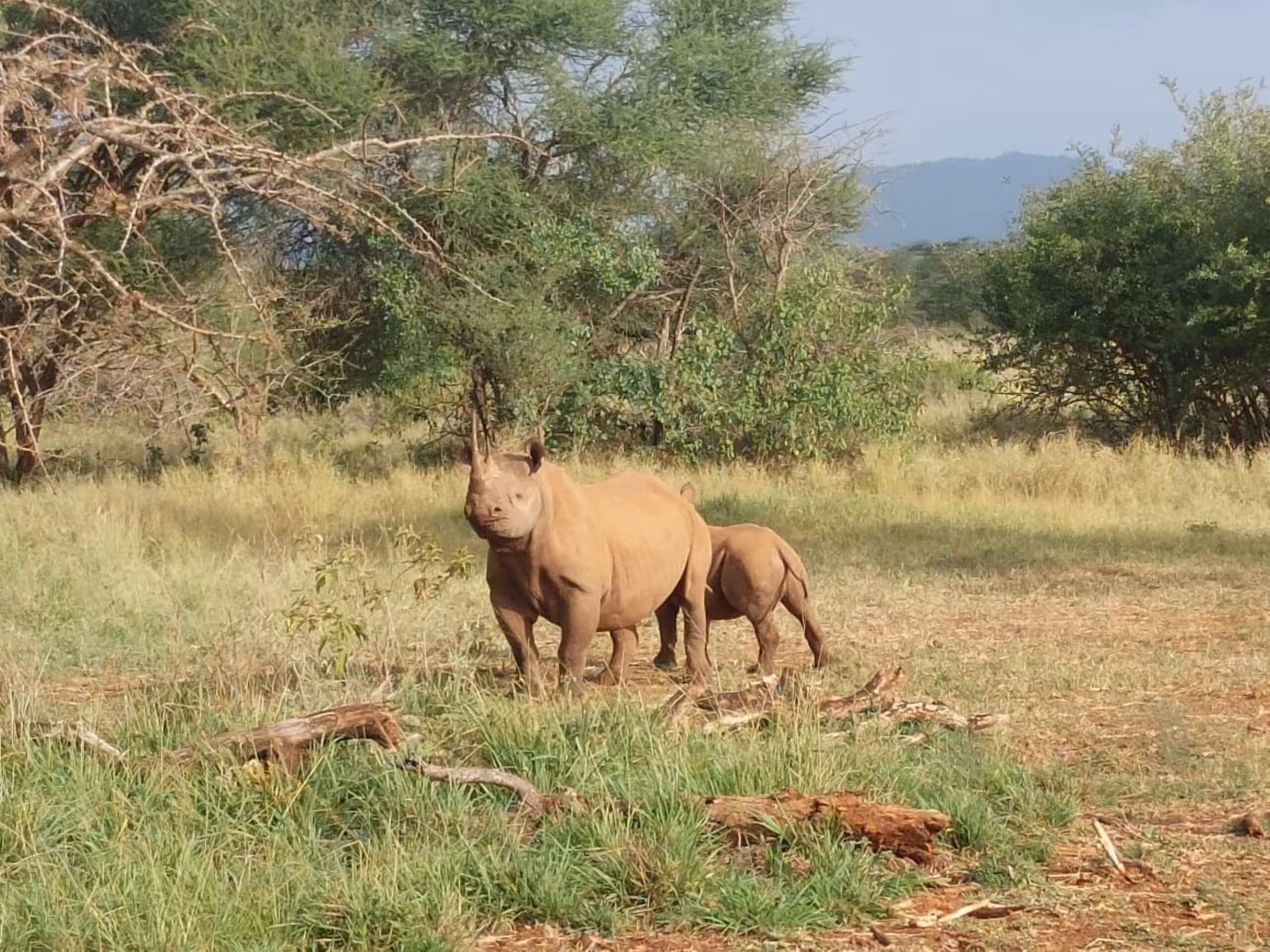 Mkomazi Nationalpark