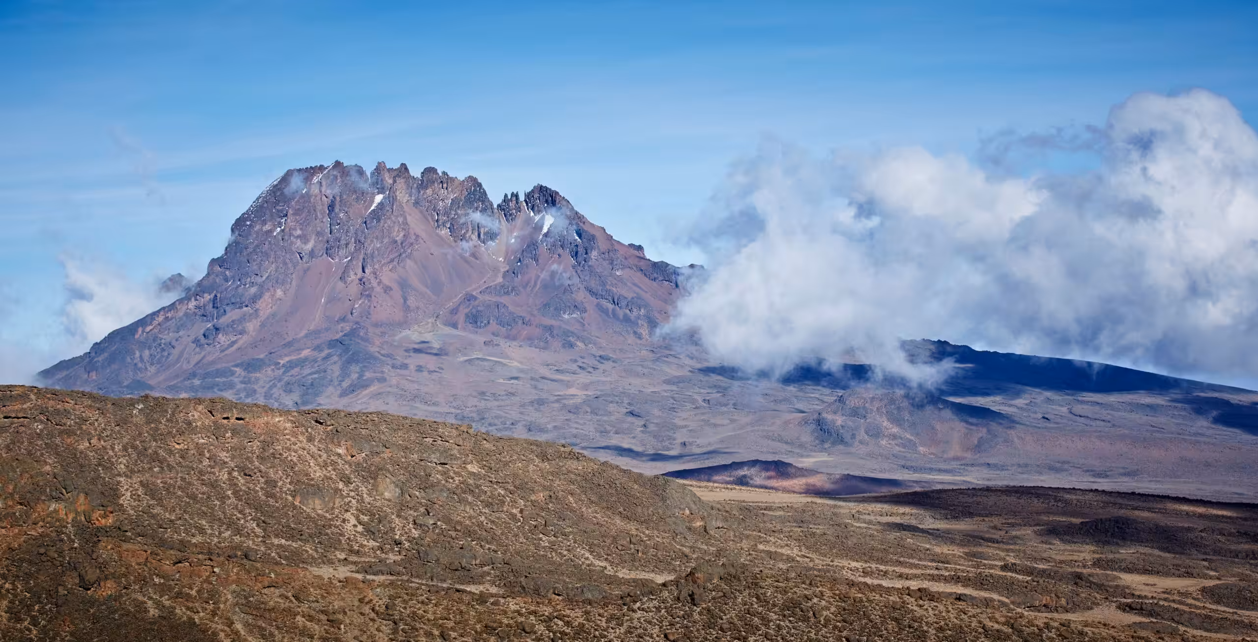 Machameleden (4/6) | Barranco Camp (3 950 m) – Barafu Camp (4 645 m)