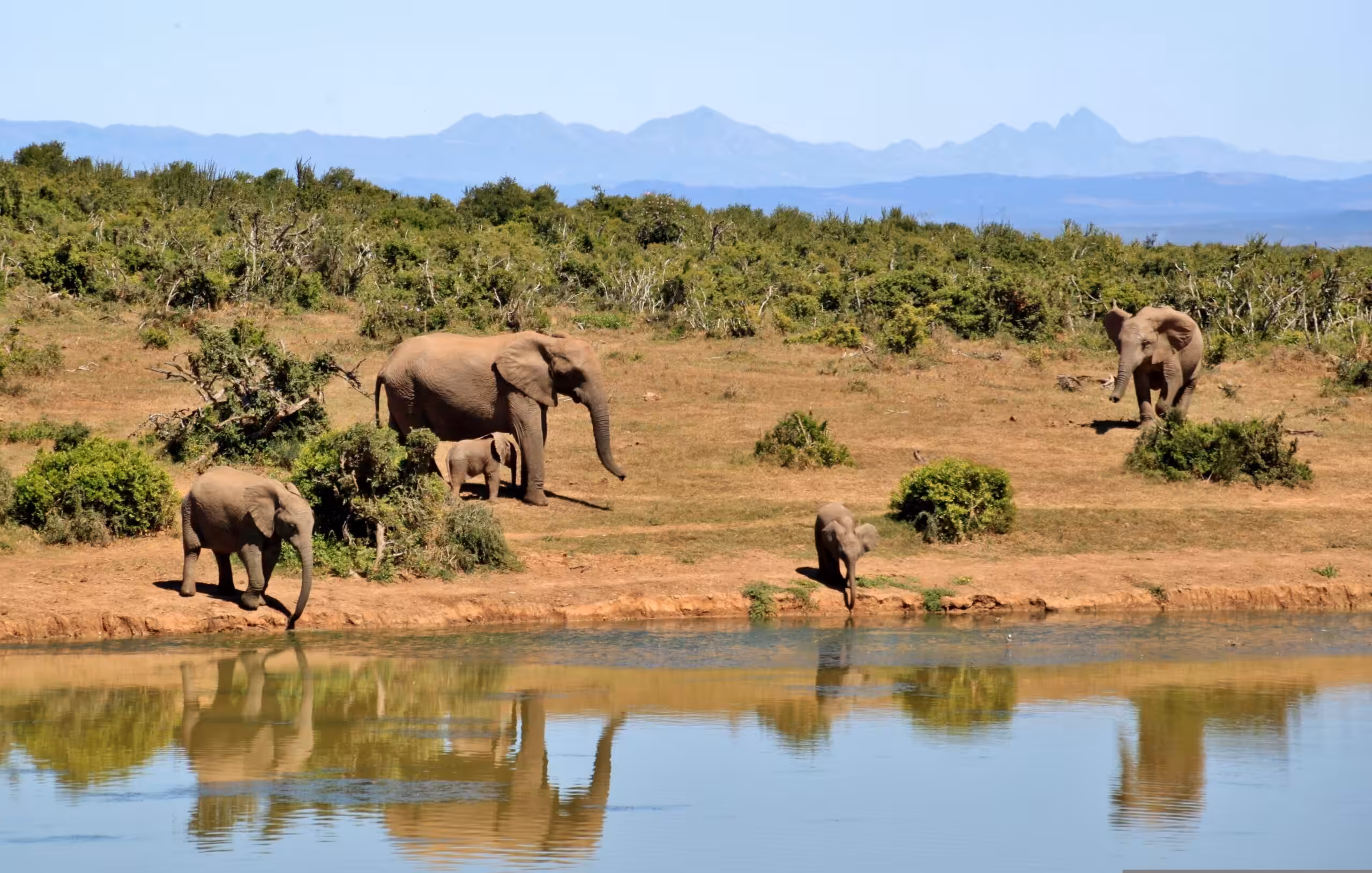 Tarangire Nationalpark i lyxig stil - via flygplan