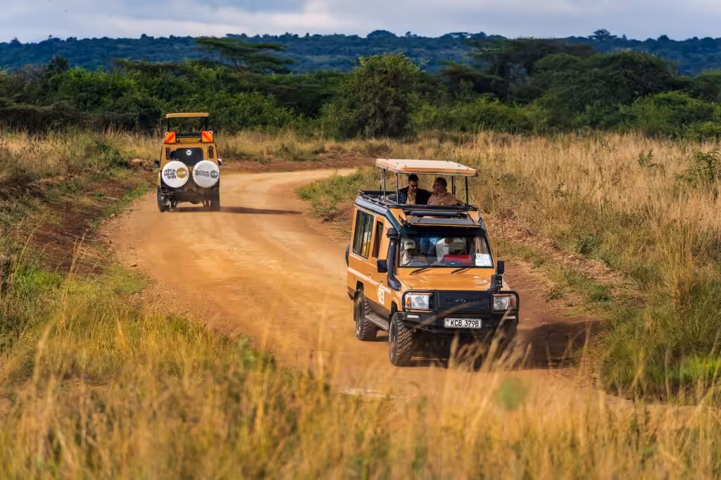 Två safarijeepar med passagerare som tittar ut genom det öppna taket, medan jeeparna kör i motsatta riktningar på en sandväg i den afrikanska bushen