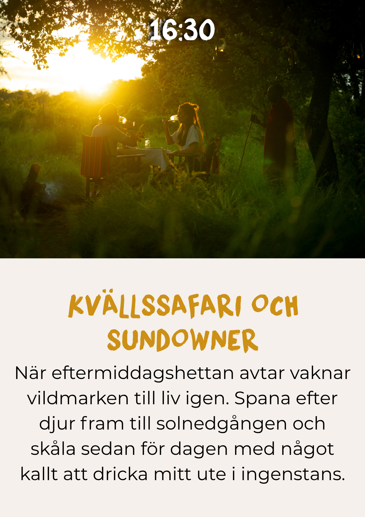 Kvällssafari i solnedgången följd av en sundowner
