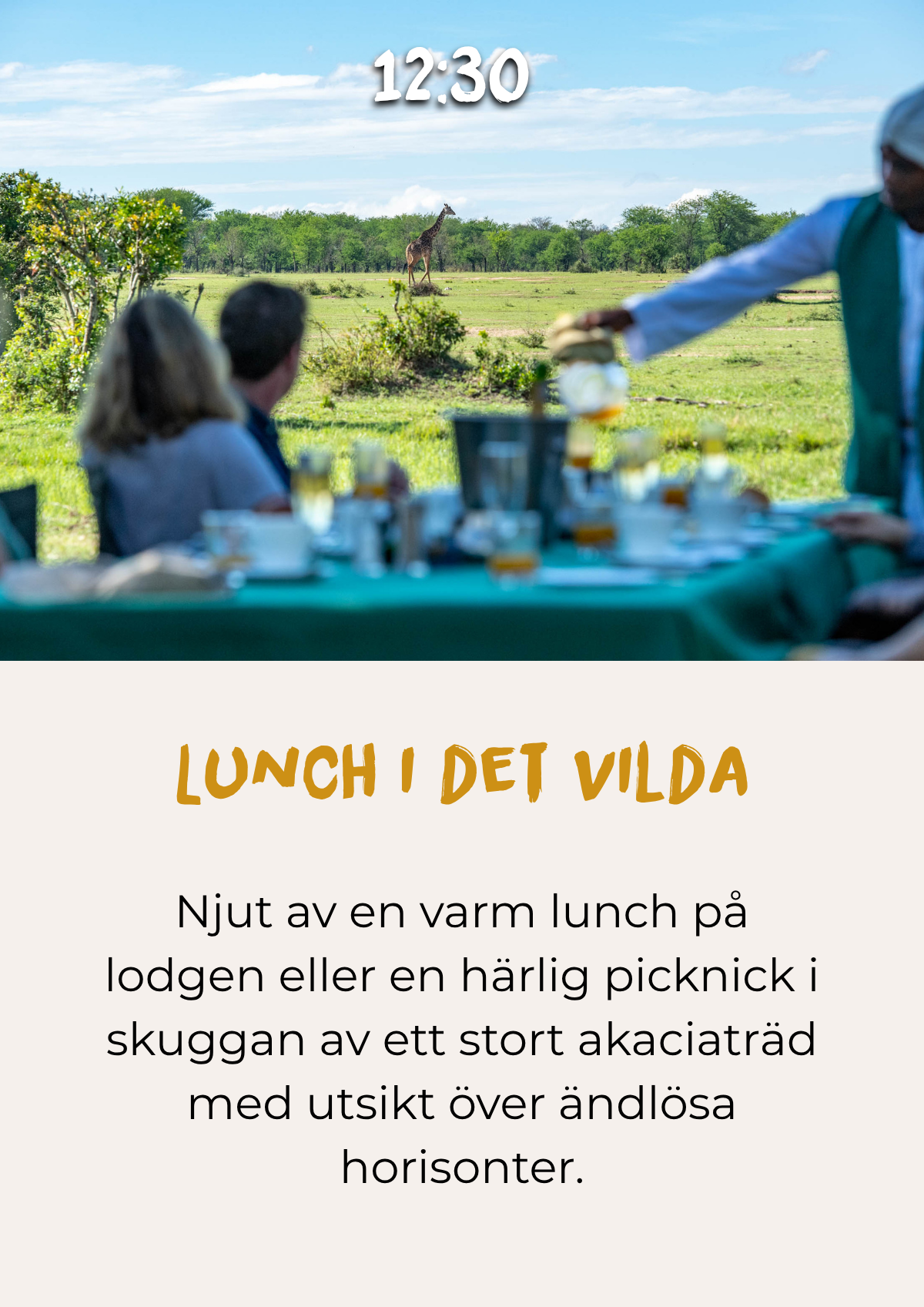 Lunch i vildmarken under en safari i Tanzania