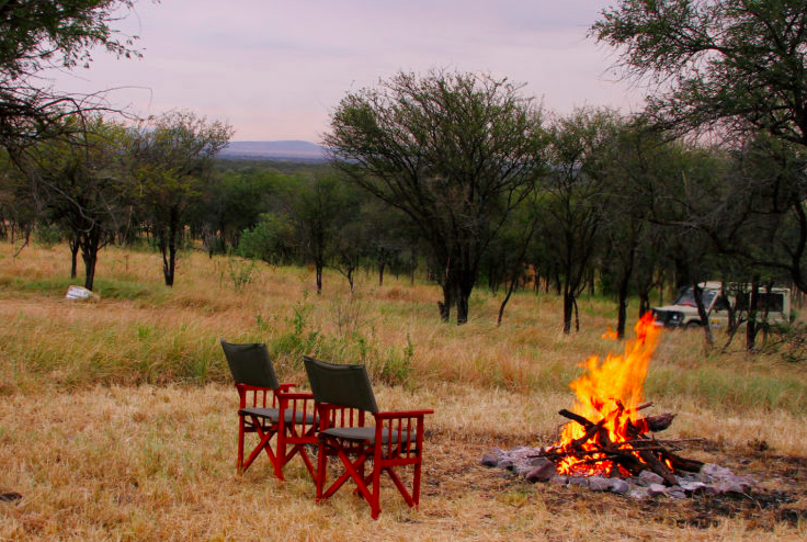 Bush TV Serengeti Tukaone Camp