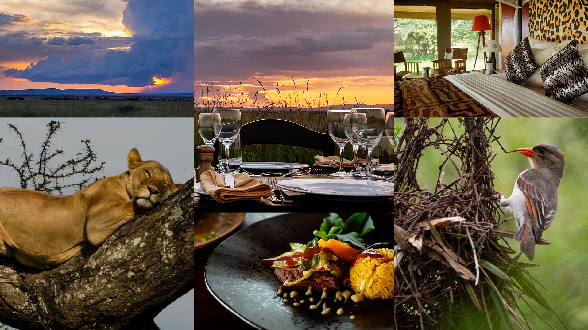 Soung of Silence Serengeti camp