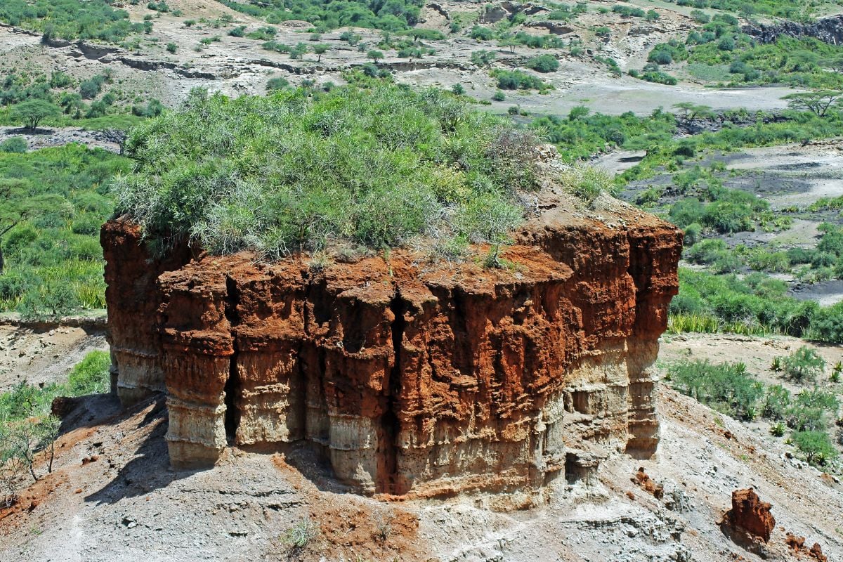 En bild på Olduvai Gorge omgiven av grässlätter.